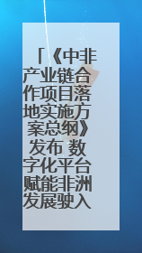 《中非产业链合作项目落地实施方案总纲》发布 数字化平台赋能非洲发展驶入快车道