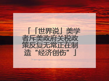 「世界说」美学者斥美政府关税政策反复无常正在制造“经济创伤”