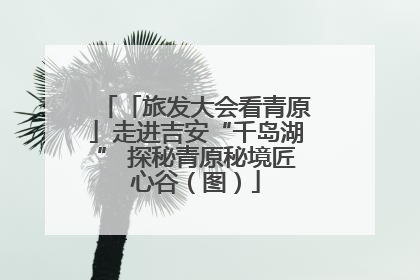 「旅发大会看青原」走进吉安“千岛湖” 探秘青原秘境匠心谷（图）