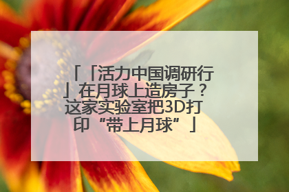 「活力中国调研行」在月球上造房子？这家实验室把3D打印“带上月球”