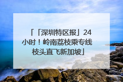「深圳特区报」24小时！岭南荔枝乘专线 枝头直飞新加坡