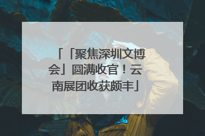 「聚焦深圳文博会」圆满收官！云南展团收获颇丰