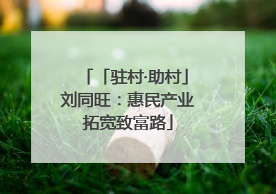 「驻村·助村」刘同旺：惠民产业拓宽致富路