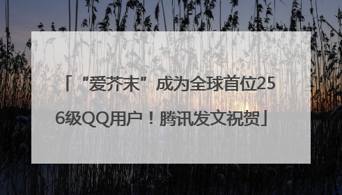 “爱芥末”成为全球首位256级QQ用户！腾讯发文祝贺