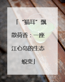 “猫耳”飘散荷香：一座江心岛的生态蜕变