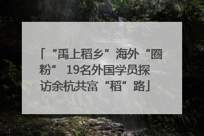 “禹上稻乡”海外“圈粉” 19名外国学员探访余杭共富“稻”路
