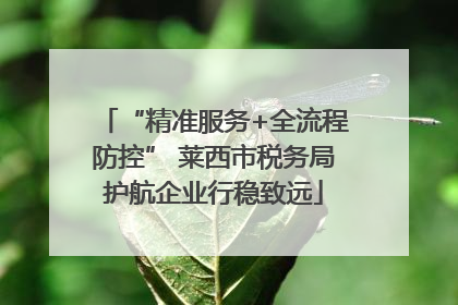 “精准服务+全流程防控” 莱西市税务局护航企业行稳致远