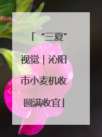 “三夏”视觉｜沁阳市小麦机收圆满收官