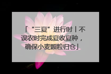 “三夏”进行时丨不误农时完成夏收夏种，确保小麦颗粒归仓