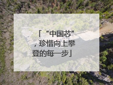 “中国芯”，珍惜向上攀登的每一步