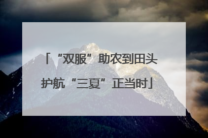 “双服”助农到田头 护航“三夏”正当时