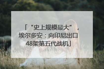 “史上规模最大”，埃尔多安：向印尼出口48架第五代战机