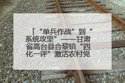 “单兵作战”到“系统攻坚”——甘肃省高台县合黎镇“四化一评”激活农村党员管理新引擎
