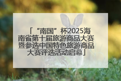 “南国”杯2025海南省第十届旅游商品大赛暨参选中国特色旅游商品大赛评选活动启幕