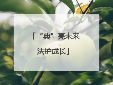 “典”亮未来 法护成长