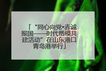 “同心向党•赤诚报国——时代楷模共建活动”在山东港口青岛港举行