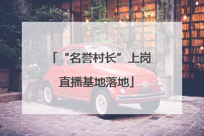 “名誉村长”上岗 直播基地落地