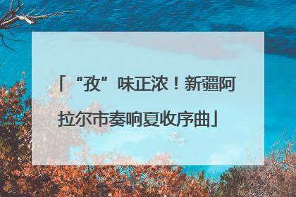 “孜”味正浓！新疆阿拉尔市奏响夏收序曲