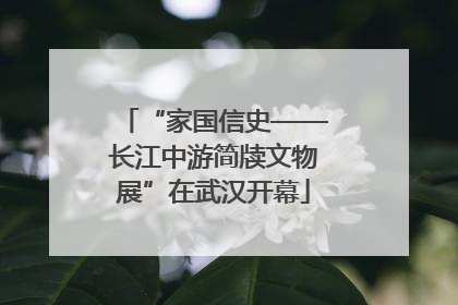 “家国信史——长江中游简牍文物展”在武汉开幕