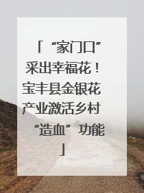 “家门口”采出幸福花！宝丰县金银花产业激活乡村“造血”功能