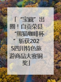 “宝藏”出圈！自贡荣县“熊猫咖啡杯”斩获2025四川特色旅游商品大赛铜奖