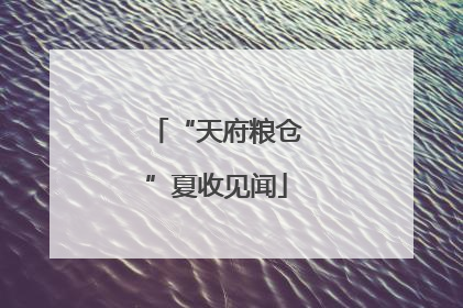“天府粮仓”夏收见闻