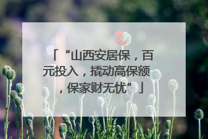“山西安居保，百元投入，撬动高保额，保家财无忧”