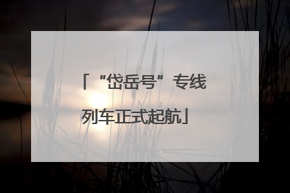 “岱岳号”专线列车正式起航