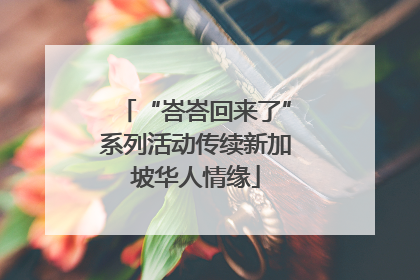 “峇峇回来了”系列活动传续新加坡华人情缘