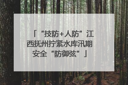 “技防+人防”江西抚州拧紧水库汛期安全“防御弦”