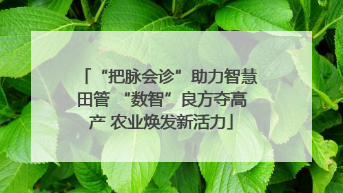 “把脉会诊”助力智慧田管 “数智”良方夺高产 农业焕发新活力