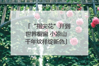 “指尖花”开到世界橱窗 小凉山千年纹样绽新色