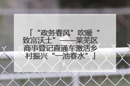 “政务春风”吹暖“致富沃土”——莱芜区商事登记直通车激活乡村振兴“一池春水”