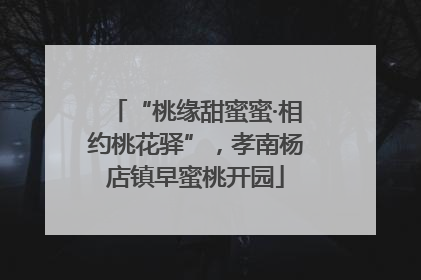 “桃缘甜蜜蜜·相约桃花驿”，孝南杨店镇早蜜桃开园