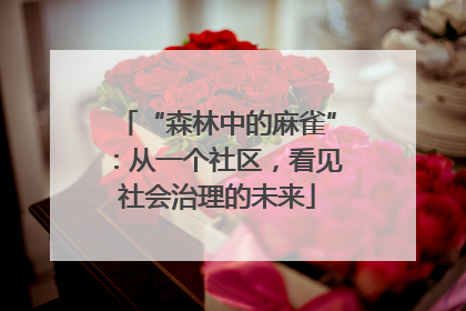 “森林中的麻雀”：从一个社区，看见社会治理的未来