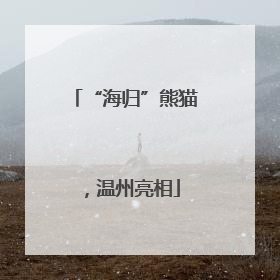 “海归”熊猫，温州亮相