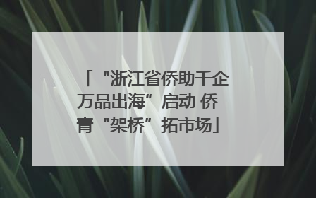 “浙江省侨助千企万品出海”启动 侨青“架桥”拓市场