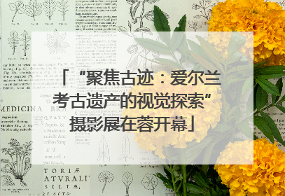 “聚焦古迹：爱尔兰考古遗产的视觉探索”摄影展在蓉开幕