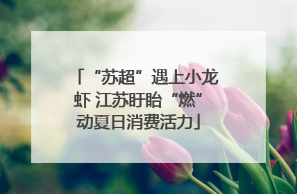 “苏超”遇上小龙虾 江苏盱眙“燃”动夏日消费活力