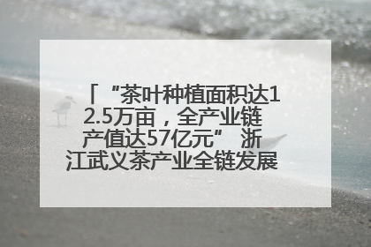 “茶叶种植面积达12.5万亩，全产业链产值达57亿元” 浙江武义茶产业全链发展“加速度”