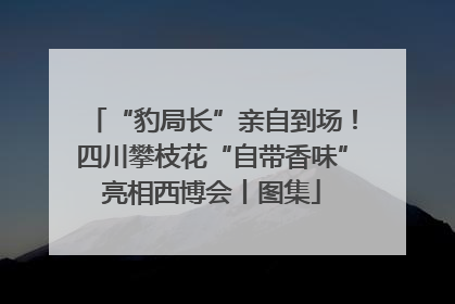 “豹局长”亲自到场！四川攀枝花“自带香味”亮相西博会丨图集