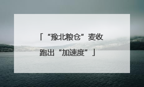 “豫北粮仓”麦收跑出“加速度”