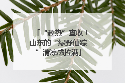 “趁热”查收！山东的“绿野仙踪”清凉感拉满