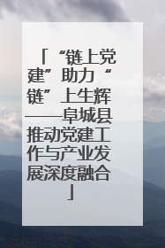“链上党建”助力“链”上生辉——阜城县推动党建工作与产业发展深度融合