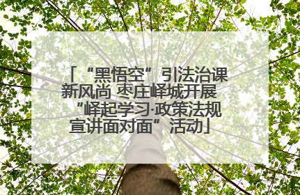 “黑悟空”引法治课新风尚 枣庄峄城开展“峄起学习·政策法规宣讲面对面”活动