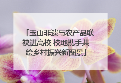 玉山非遗与农产品联袂进高校 校地携手共绘乡村振兴新图景