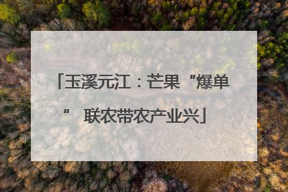 玉溪元江：芒果“爆单” 联农带农产业兴