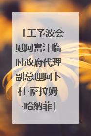 王予波会见阿富汗临时政府代理副总理阿卜杜·萨拉姆·哈纳菲