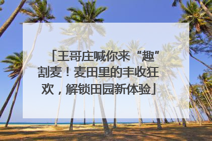 王哥庄喊你来“趣”割麦！麦田里的丰收狂欢，解锁田园新体验