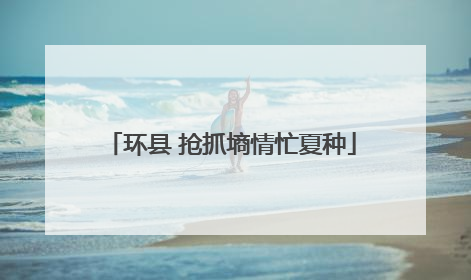 环县 抢抓墒情忙夏种
